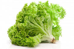 Салат листовой