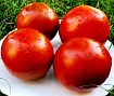 Томат красный с/х "Тепличный"