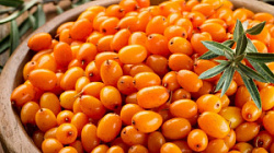 Облепиха россыпью