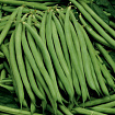 Фасоль шоковой заморозки, вес