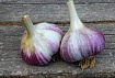 Чеснок крупный